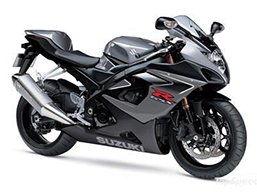 GSXR1000 05 06