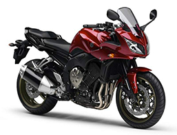 FZ1 2006-2015