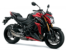 GSX S 1000