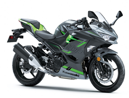 Ninja ZX 400