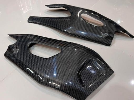Bienvenu Motorsports R1 2015-2023 Swingarm Cover 2